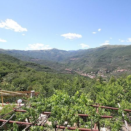 Agriturismo Nonni Devia Lucinasco Eksteriør billede
